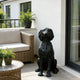 Black bronze dog statue on a patio with a couch, table, and plants.