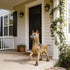 Lifelike Bronze German Shepherd Statue 