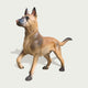 Lifelike Bronze German Shepherd Statue 