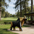 Striking Black And Gold Bronze Bull Statue in a park-like setting with trees and a gazebo.