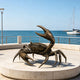 Large bronze crab sculpture displayed on a circular stone platform by the sea, featuring oversized raised claws, articulated legs, a textured shell, detailed joints, and a rich antique bronze surface against a coastal marina setting.