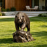 A realistic bronze sculpture of a walking bear with highly textured fur. This powerful wildlife art piece features a heavy, confident stride, adding a rugged, natural element to a sunny, modern backyard setting.