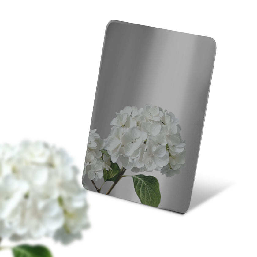 Stainless steel color sample mirror polished black sheet with a reflection of white flower on a white background