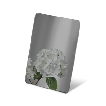 Stainless steel color sample mirror polished black sheet with a reflection of white flower on a white background