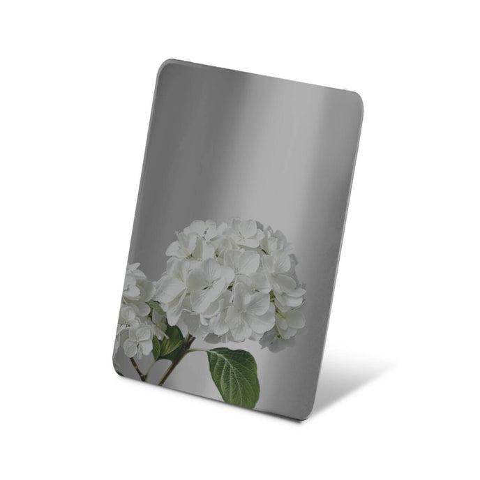 Stainless steel color sample mirror polished black sheet with a reflection of white flower on a white background