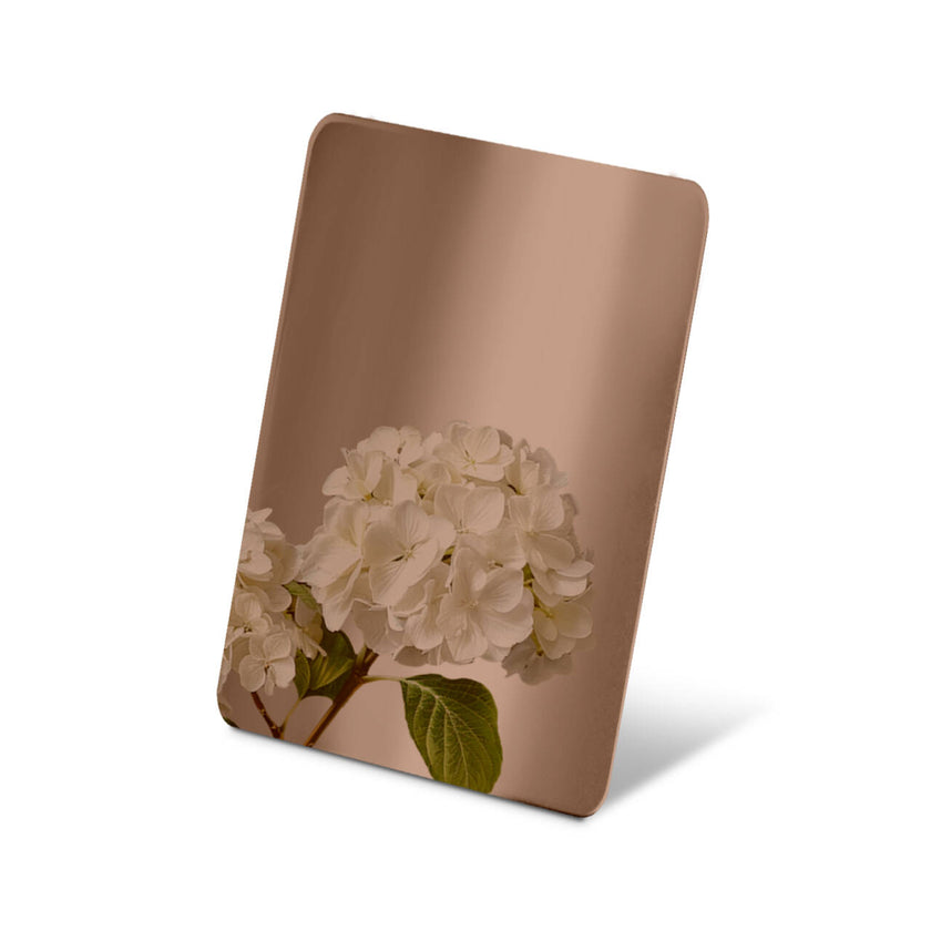 Stainless steel color sample mirror polished brown with a reflection of white flower on a white background