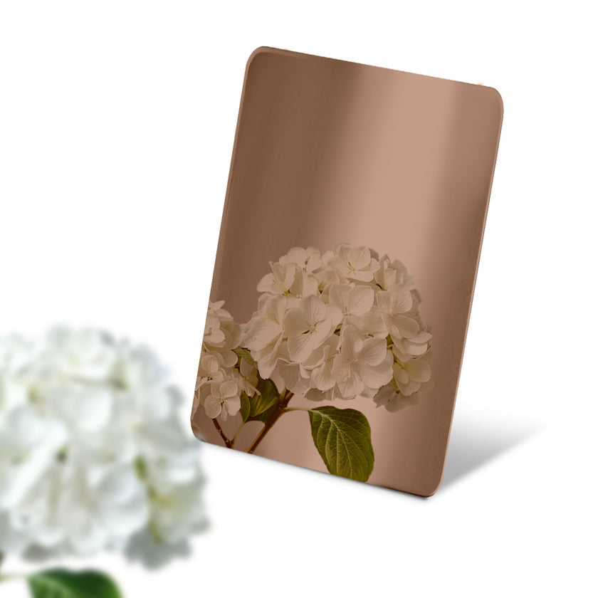 Stainless steel color sample mirror polished brown with a reflection of white flower on a white background