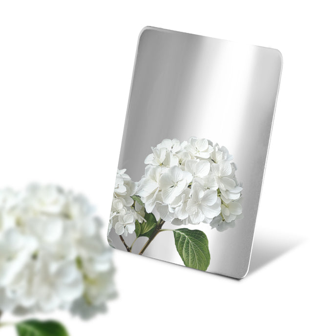Stainless Steel Color Sample Mirror Polished Silver with a reflection of white flower on a white background.