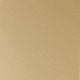 Stainless Steel Color Sample Matte Gold