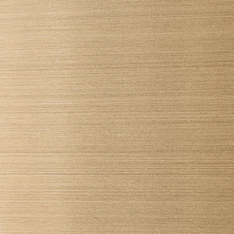 Stainless Steel Color Sample Brushed Gold