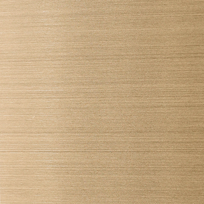 Stainless Steel Color Sample Brushed Gold