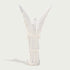Large cathedral angel statue on a white background