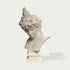 Classic Male Greek Statues Marble Bust Sculpture on a light gray background