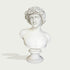 Natural white marble male bust sculpture with floral crown, classical face, smooth shoulders, and pedestal display on a clean background.