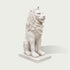 White marble lion sculpture statue with detailed mane carving and classic design for luxury garden entrance decoration