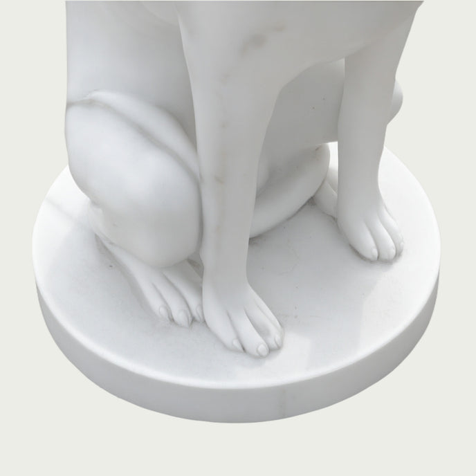 Close-up detail of a white marble greyhound statue showing smooth carved legs, paws, and refined sculpture craftsmanship.