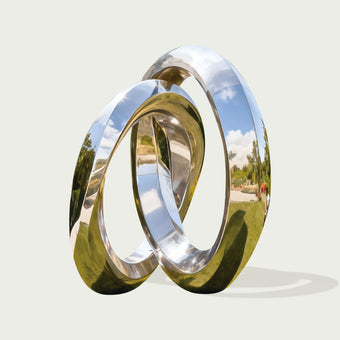  interlocking silver rings stainless steel sculpture with a reflective surface, showing a scenic reflection.