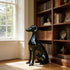Gleaming Seated Dog Black Statue in a reading room of a luxury house