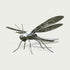 Mirror Polished Dragonfly Stainless Steel Sculpture Ecological Garden Art on a white background