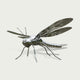Mirror Polished Dragonfly Stainless Steel Sculpture Ecological Garden Art on a white background